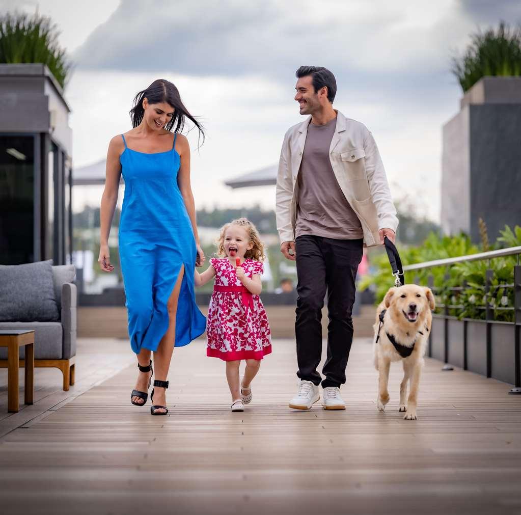 Galeria Plaza San Jeronimo Hotel Mexikóváros Felszereltség fotó A family with a dog