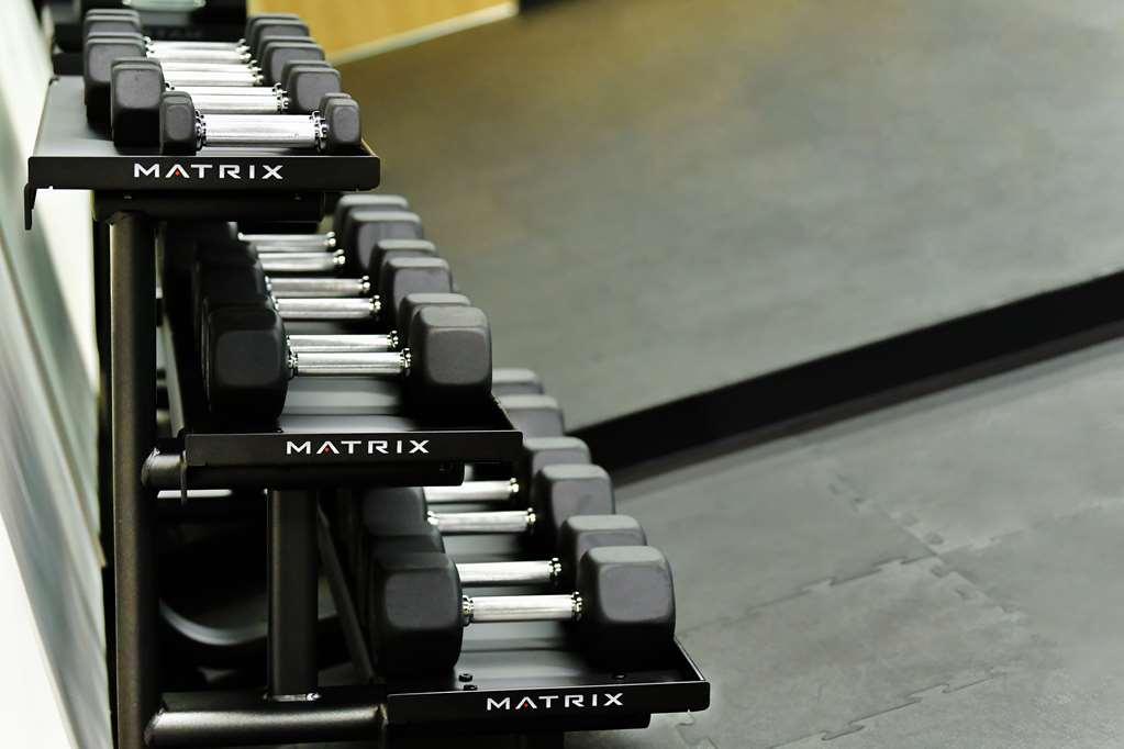Galeria Plaza San Jeronimo Hotel Mexikóváros Létesítmények fotó Dumbbells