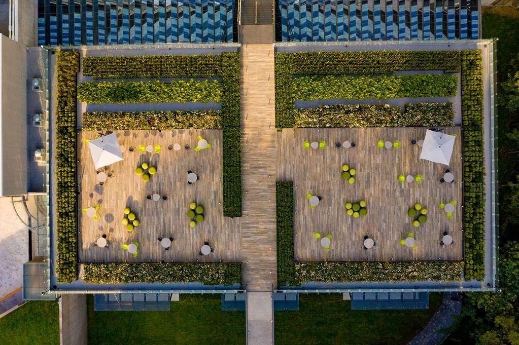 Galeria Plaza San Jeronimo Hotel Mexikóváros Kültér fotó The green wall at the Allianz Arena